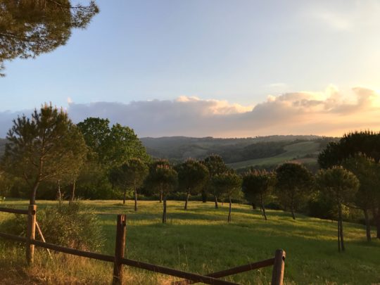 Familienurlaub, Toskana, Reisen mit Kind,