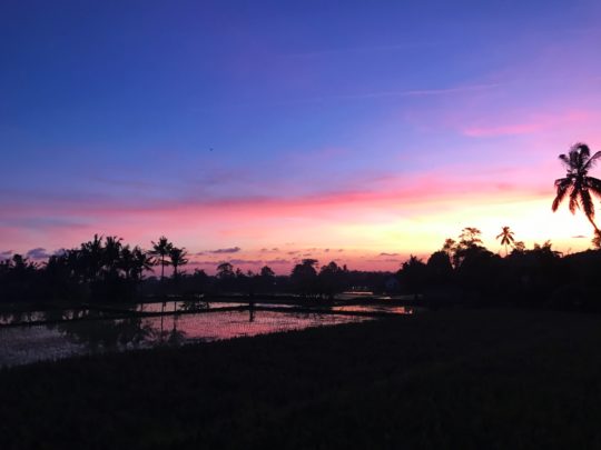 Blind Date auf Bali