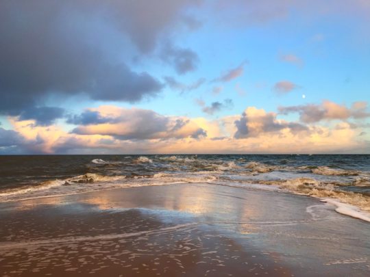 Grene Skagen