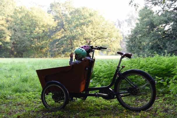 Babboe kaufen